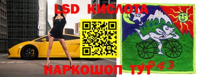 трава Шебекино