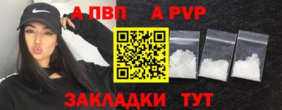 индика Ярославль