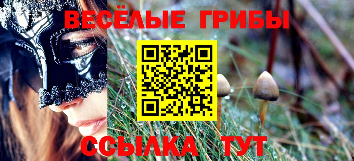 Галлюциногенные грибы Cubensis Партизанск